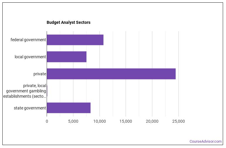 What is a Budget Analyst & What do They Do? - Course Advisor