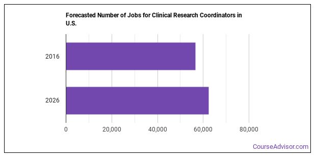 what-does-a-clinical-research-coordinator-do-course-advisor