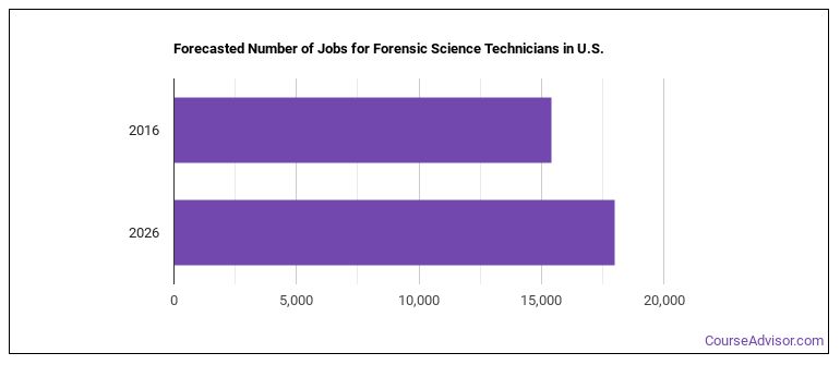 what-is-a-forensic-science-technician-what-do-they-do-course-advisor