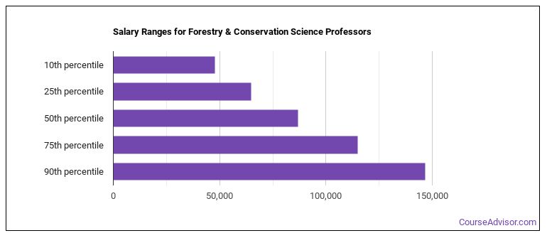 what-is-a-forestry-and-conservation-science-professor-what-do-they-do