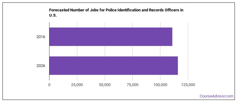 what-is-a-police-identification-and-records-officer-what-do-they-do