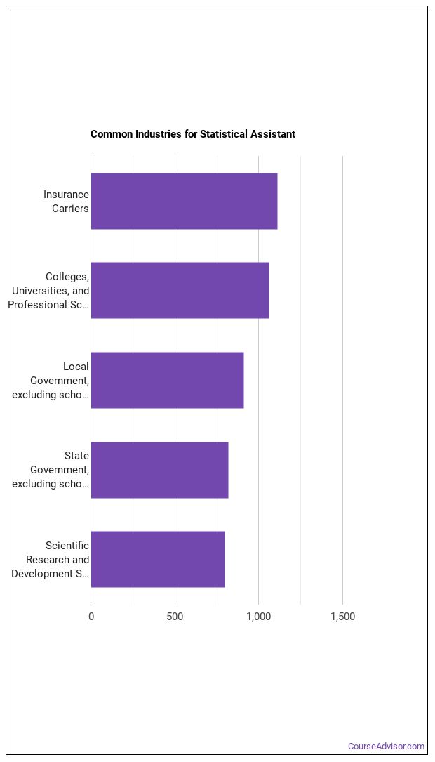 How to Become a Statistical Assistant & What Do They Do? - Course Advisor