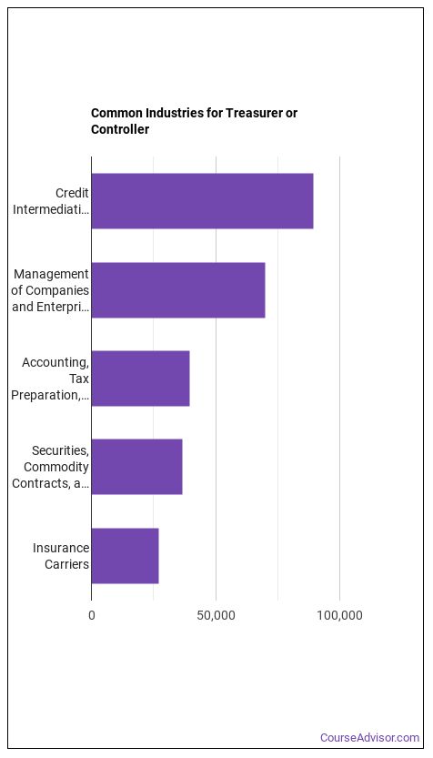 What's It Like Being a Treasurer or Controller? - Course Advisor