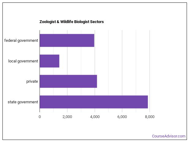 What Does a Zoologist and Wildlife Biologist do? - Course Advisor