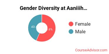 Gender Diversity at Aaniiih Nakoda College