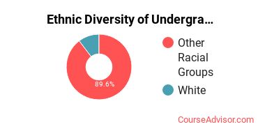 Aaniiih Nakoda College Student Ethnic Diversity Statistics