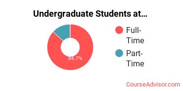 Number of Undergraduate Students at Abraham Lincoln University
