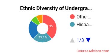 Abraham Lincoln University Student Ethnic Diversity Statistics