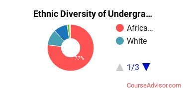 Academy for Nursing and Health Occupations Student Ethnic Diversity Statistics
