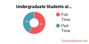 Number of Undergraduate Students at Academy of Art University