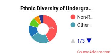 Academy of Art University Student Ethnic Diversity Statistics