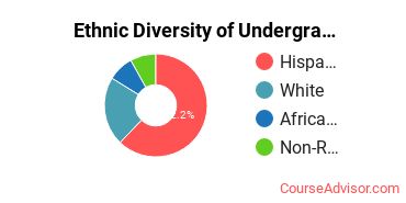 Acupuncture and Massage College Student Ethnic Diversity Statistics
