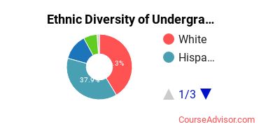 Adams State University Student Ethnic Diversity Statistics