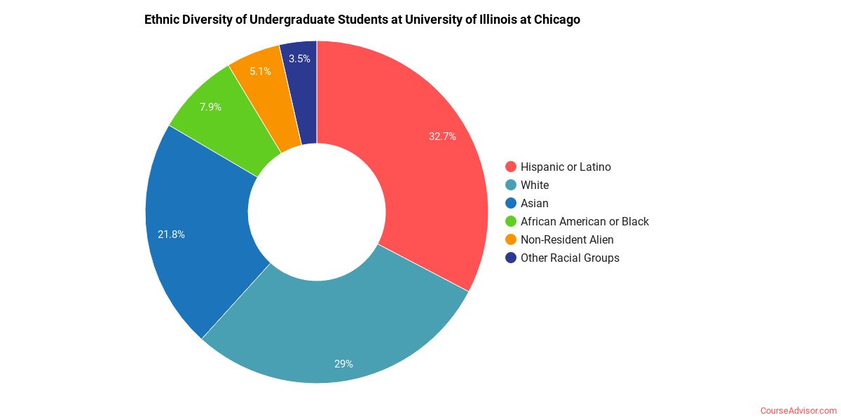 university of illinois chicago diversity - university of chicago racial demographics