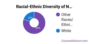 Racial-Ethnic Diversity of Nursing Majors at Aaniiih Nakoda College