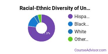 Racial-Ethnic Diversity of Agape College of Business and Science Undergraduate Students