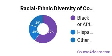 Racial-ethnic diversity of Community Organization & Advocacy majors at Alverno College