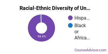 Racial-Ethnic Diversity of Antigua College International Undergraduate Students