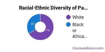 Racial-ethnic diversity of Pastoral Specialized Ministries majors at Arlington Baptist University