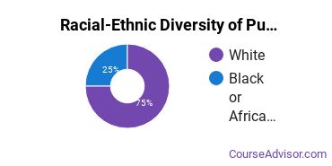 Racial-ethnic diversity of Public Health majors at Point University