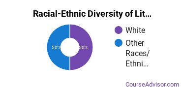 Racial-ethnic diversity of Literature majors at Bard College at Simon's Rock