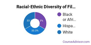 Racial-ethnic diversity of Film, Video & Photographic Arts majors at Belhaven University