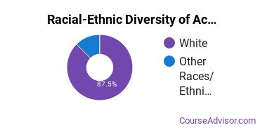 Racial-ethnic diversity of Accounting majors at Belmont College