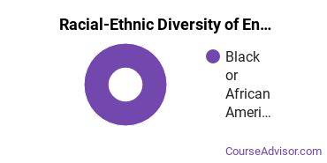 Racial-ethnic diversity of Environmental Engineering majors at Benedict College