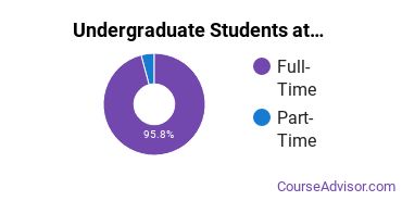 Full-Time vs. Part-Time Undergraduate Students at Branford Hall Career Institute - Southington Campus