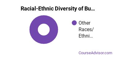 Racial-ethnic diversity of Business Administration & Management majors at Chief Dull Knife College