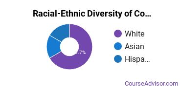 Racial-ethnic diversity of Computer Engineering majors at Christian Brothers University