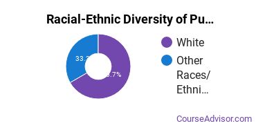 Racial-ethnic diversity of Public Relations & Advertising majors at Concordia University-Nebraska