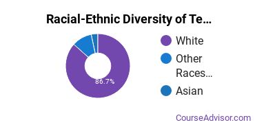 Racial-Ethnic Diversity of Teacher Education Subject Specific Majors at Concordia University, Nebraska