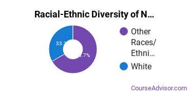 Racial-ethnic diversity of Non-Professional Legal Studies majors at Connors State College