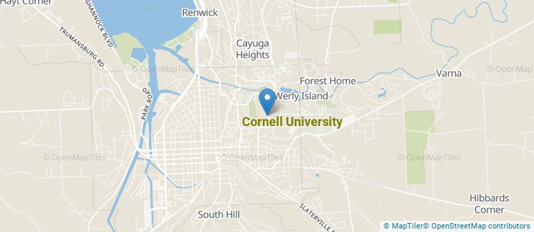 Cornell University Overview - Course Advisor