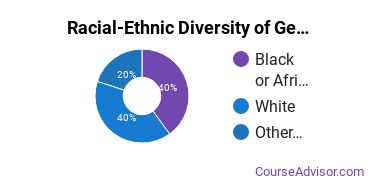 Racial-Ethnic Diversity of General Engineering Technology Majors at Danville Community College