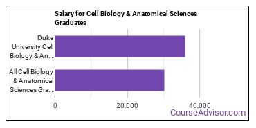 Median earnings by years after graduation for Cell Biology & Anatomical Sciences at Duke University