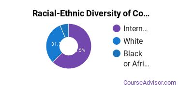 Racial-ethnic diversity of Construction Engineering majors at Eastern Michigan University