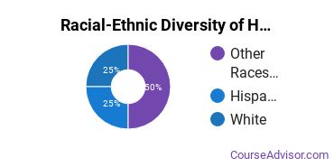 Racial-ethnic diversity of Child Development & Family Studies majors at Eastern New Mexico University Ruidoso Branch Community College