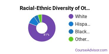 Racial-ethnic diversity of Other Education majors at Endicott College
