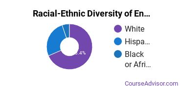 Racial-Ethnic Diversity of Environmental Control Technology Majors at Estrella Mountain Community College