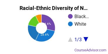 Racial-ethnic diversity of Natural Sciences majors at Felician University