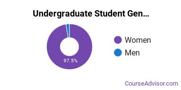 Undergraduate Gender Diversity at Florida Academy of Nursing