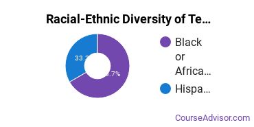Racial-ethnic diversity of Teacher Education Subject Specific majors at Florida Memorial University