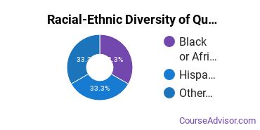 Racial-ethnic diversity of Quality Control Technology majors at Goodwin University
