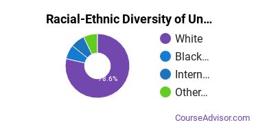 Racial-Ethnic Diversity of Great Northern University Undergraduate Students