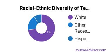 Racial-ethnic diversity of Teacher Education Grade Specific majors at Hamline University