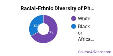 Racial-ethnic diversity of Physics majors at Henderson State University