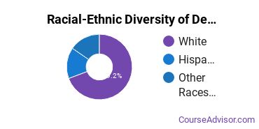 Racial-Ethnic Diversity of Design & Applied Arts Majors at Herzing University - Madison