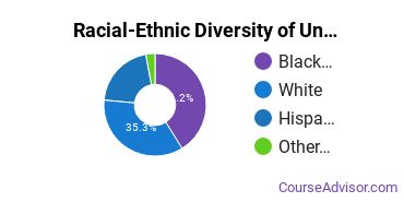 Racial-Ethnic Diversity of Herzing University-Tampa Undergraduate Students